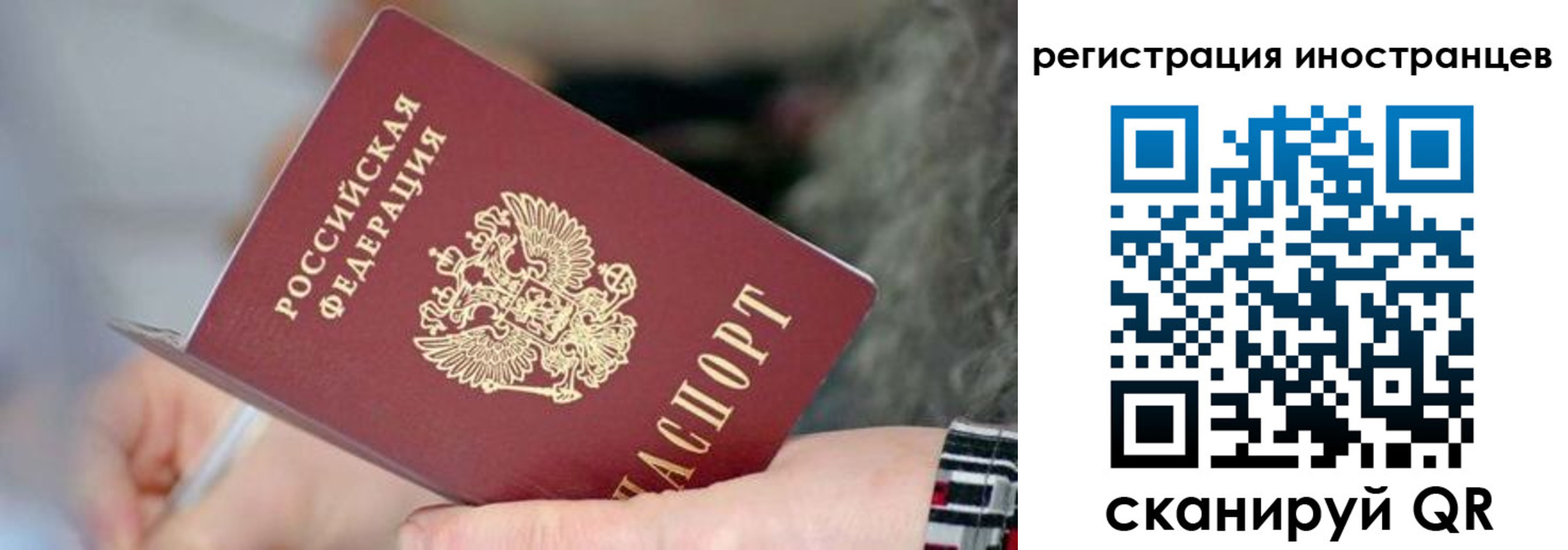 найти адрес прописки в Ряжске